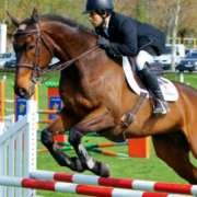 Galops d’équitation : pour tous les âges ?